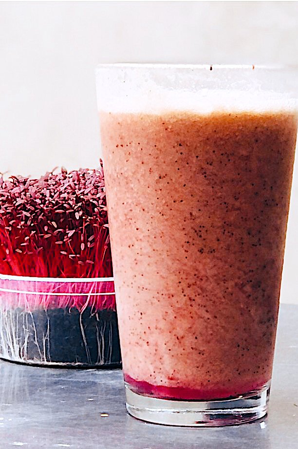 Amaranth Microgreens Blender Juice