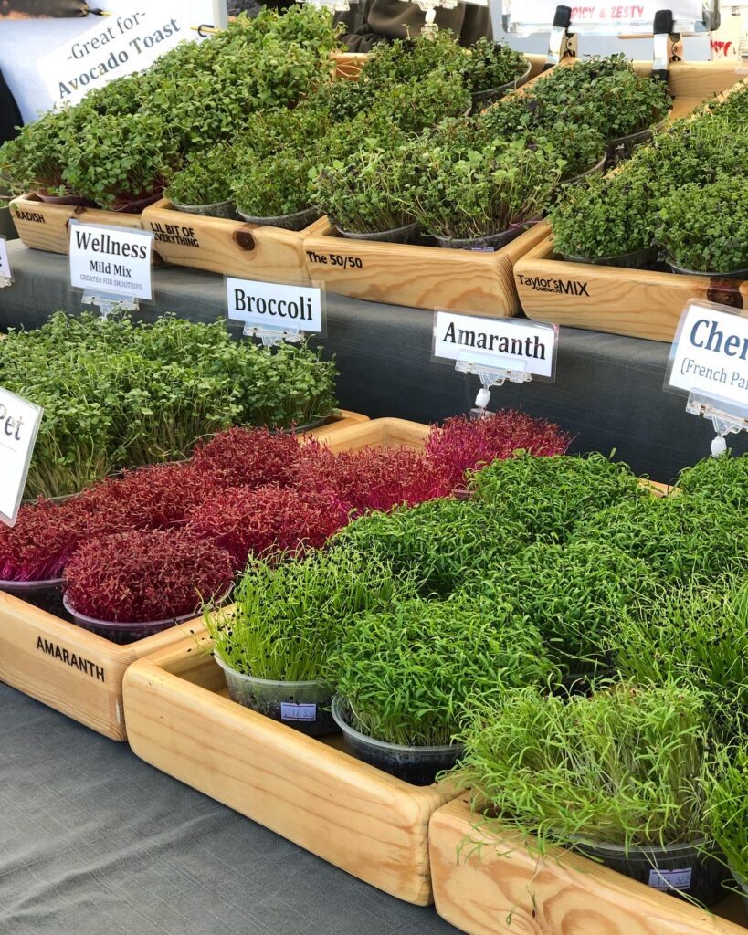 Farmer's Market Display of Living Trays of Microgreens